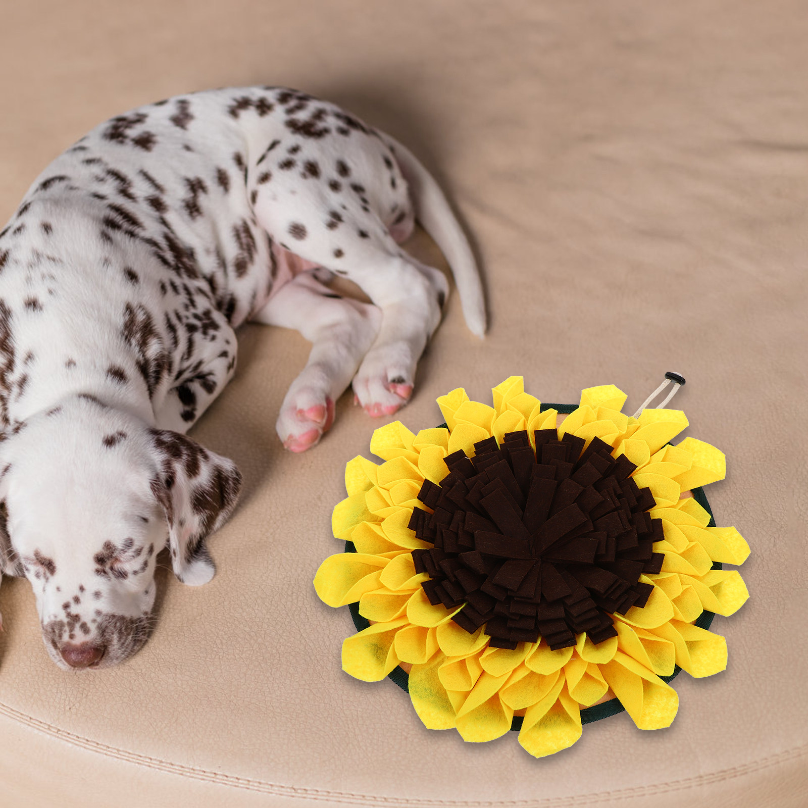 Household Foraging Mat Slow Fe - огляд і ціна Snuffle Mat For Dogs Foraging Mental