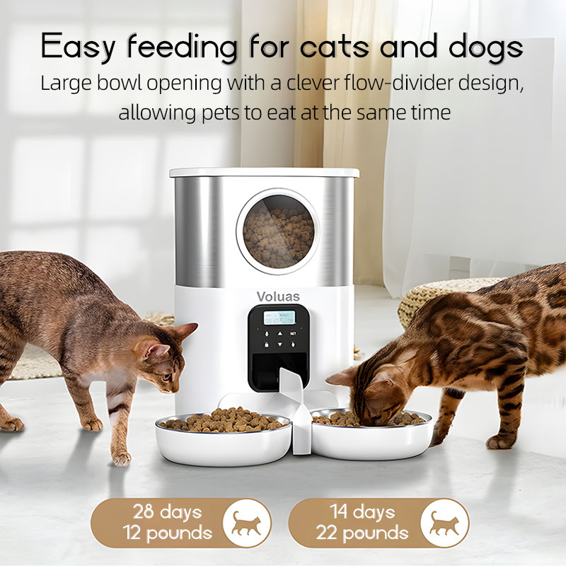 Cats Dog Timing Automatic Feed - огляд і ціна Automatic Pet Feeder Dual Bowl Stainless