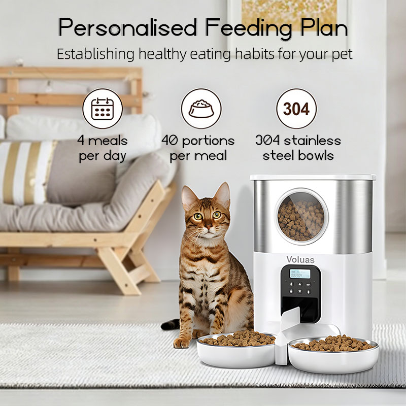 Cats Dog Timing Automatic Feed - огляд і ціна Automatic Pet Feeder Dual Bowl Stainless