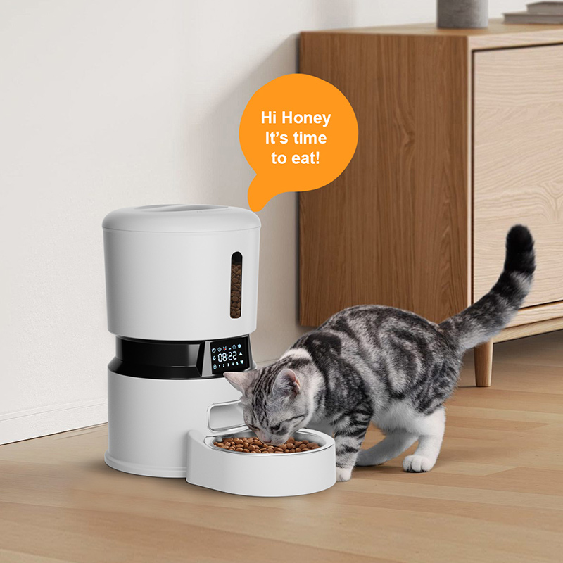 4L Smart Cat Feeder Automatic  - огляд і ціна Timed Cat Dog Food Dispenser 4L