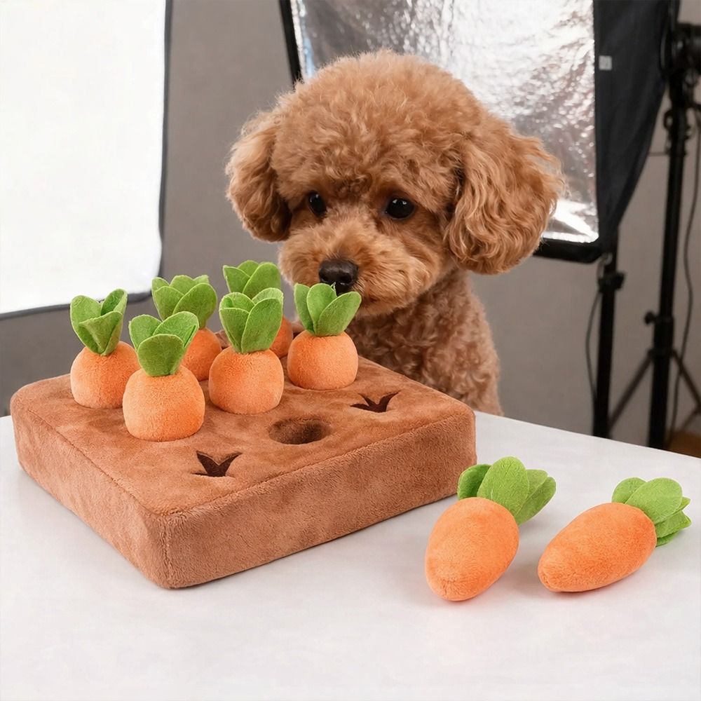 Stress Relief Carrot Snuffle M - огляд і ціна Snuffle Mat For Dogs Foraging Mental