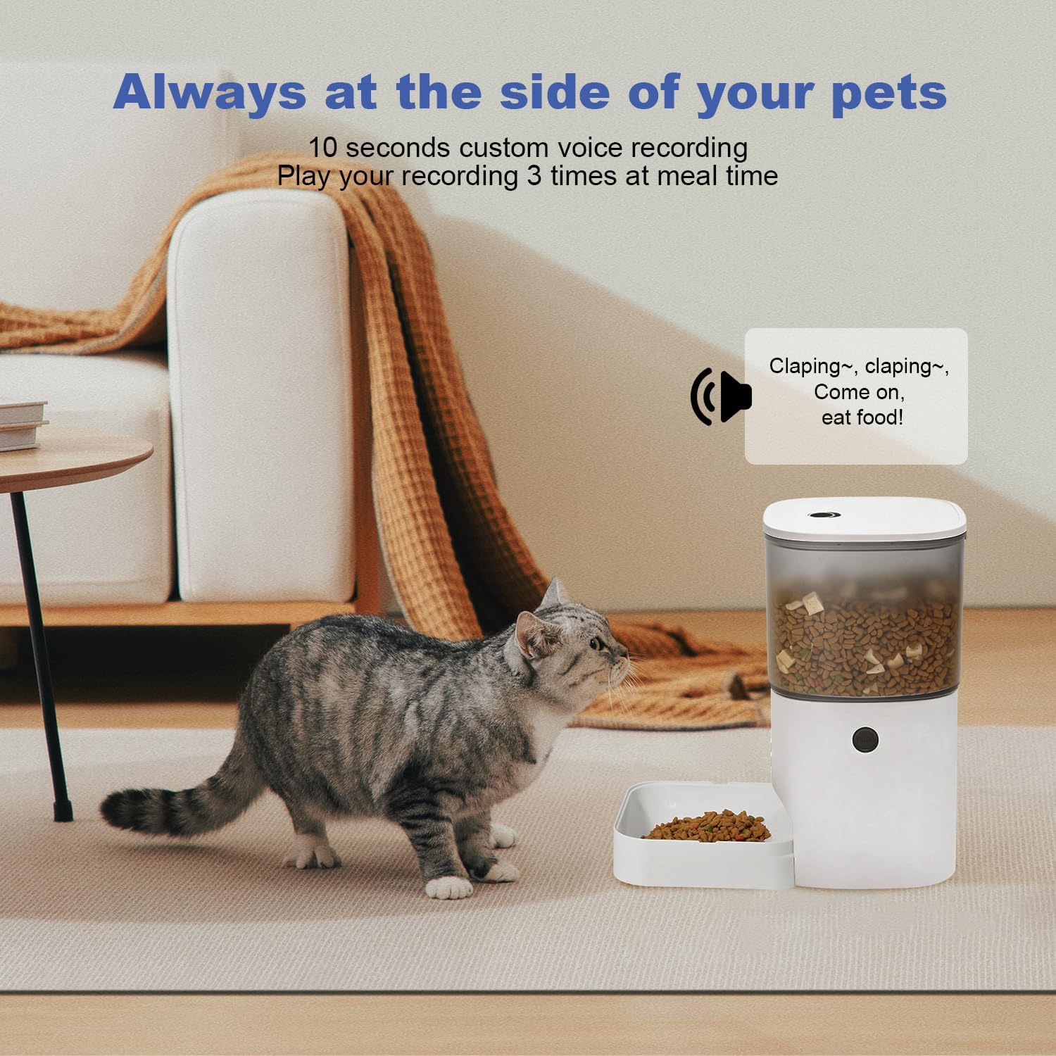 ANDOLL HOME Automatic Cat Feed - огляд і ціна Timed Cat Dog Food Dispenser 4L