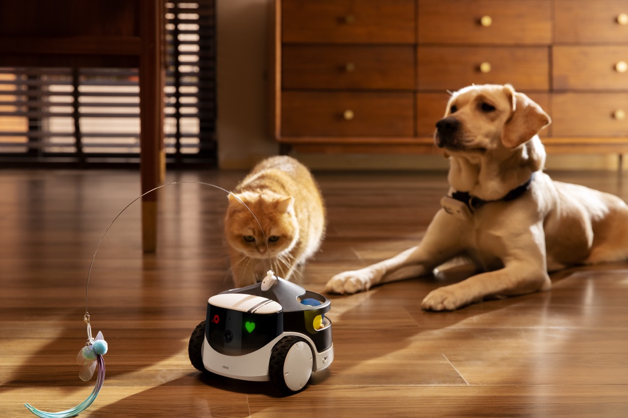 ROLA PetPal AI Robot Companion - огляд і ціна Pet Treat Dispenser Camera Interactive