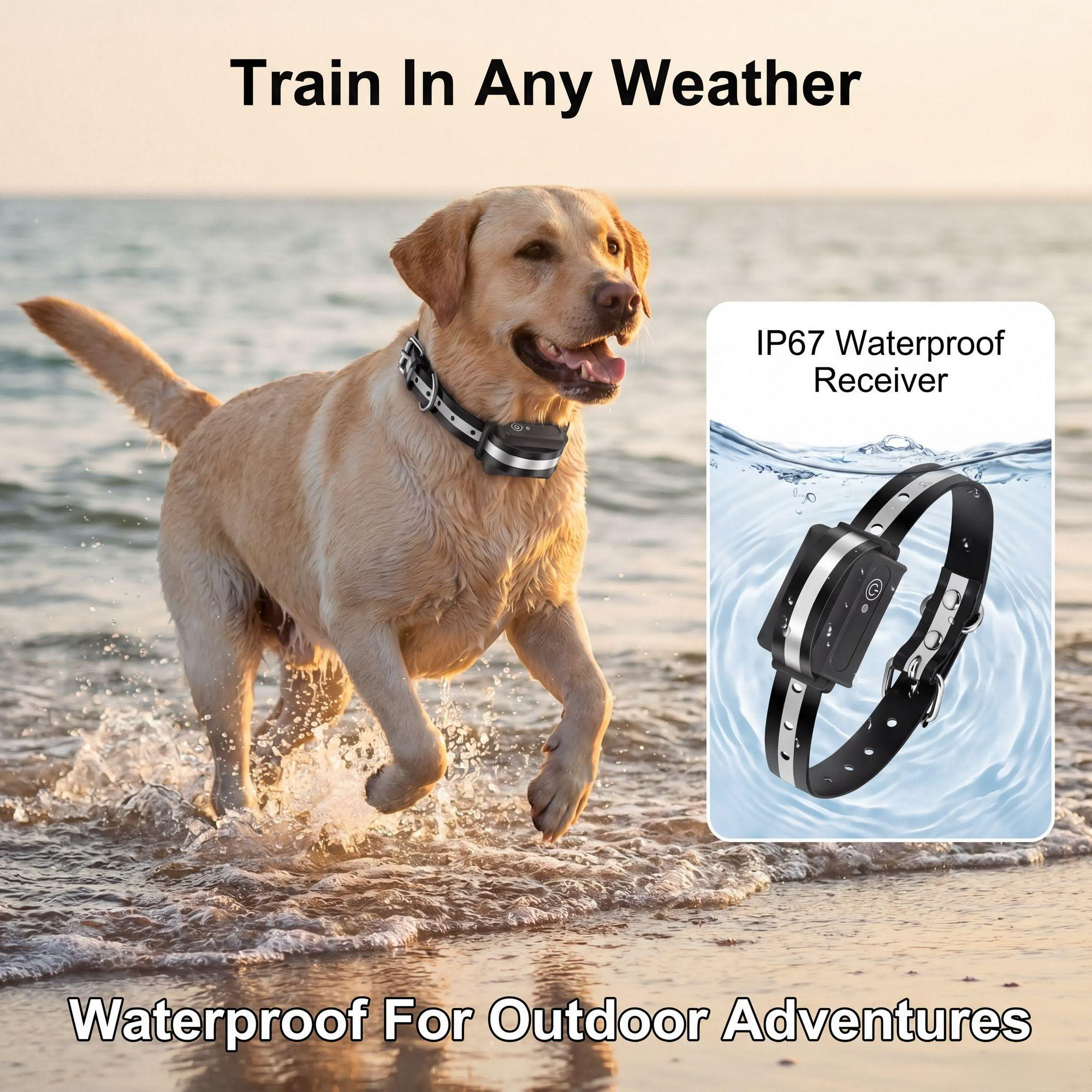 1000M Dog Training Collar IPX7 - огляд і ціна Dog Training Collar Remote 1000M Beep