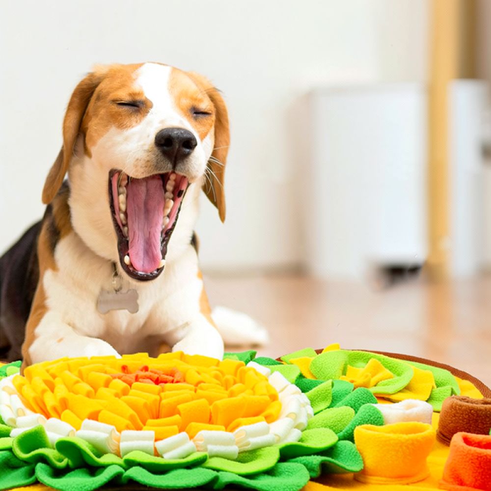 Dog Snuffle Mat Bone Design Pe - огляд і ціна Dog Slow Feeder Puzzle Toy Interactive