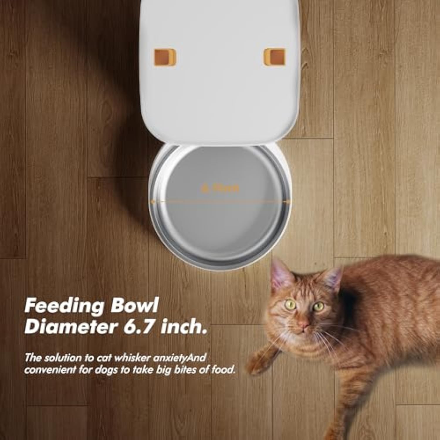 5G Automatic Cat Feeder With 1 - огляд і ціна Smart Pet Feeder Camera 1080P Wifi
