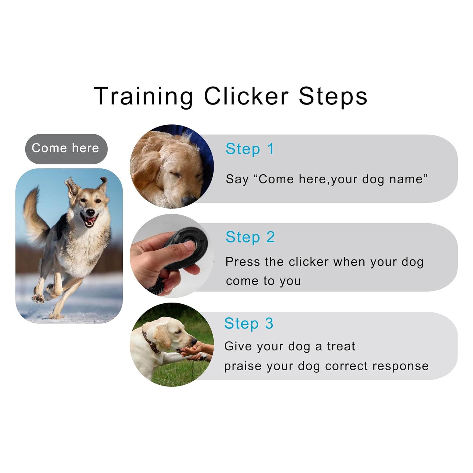 Pet Clicker For Dog Training P - огляд і ціна Dog Clicker Training With Wrist Strap